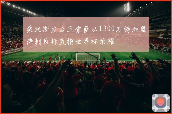 桑托斯左后卫索萨以1300万镑加盟热刺目标直指世界杯荣耀