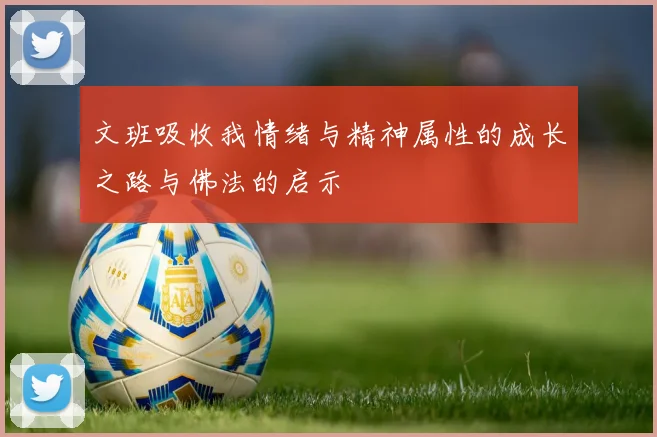 文班吸收我情绪与精神属性的成长之路与佛法的启示